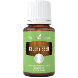 Celery Seed Essential Oil (Apium graveolens) 15 ml 