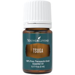 Tsuga Essential Oil or Canadian Hemlock (Tsuga canadensis) 5 ml