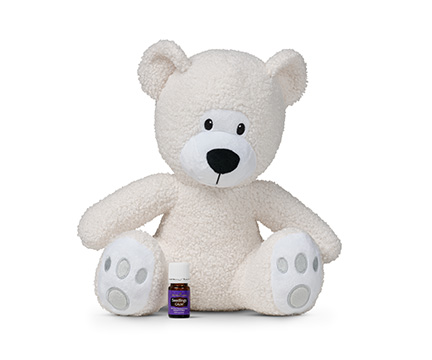 Cuddly Aroma Bear And Seedlings Calm Essential Oil Gift Set Essential Oil Diffusers And Resin Burners Experience Essential Oils Llc