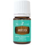 Angelica Essential Oil  (Angelica archangelica) 5 ml 