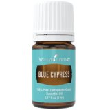 Blue Cypress Essential Oil (Callitris intratropica) 5 ml  