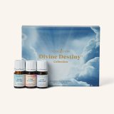 Feelings Essential Oil Collection