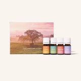 Golden Touch Essential Oil Collection