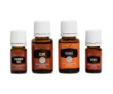 Essential Oil Seasonal Scents Collection