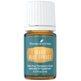 Idaho Blue Spruce Essential Oil (Picea pungens) 5 ml 