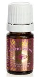 Into the Future Essential Oil 5 ml