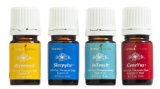 Reconnect Essential Oil Kit for Focus and Mood Support