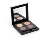 Savvy Eyeshadow Palette Natural Quartz Natural Mineral Makeup Set by Young Living