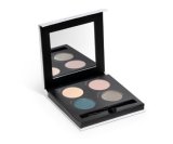 Savvy Eyeshadow Palette Royal Winter Natural Mineral Makeup Set by Young Living