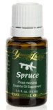 Spruce Essential Oil (Picea mariana) 15 ml