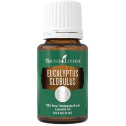 Eucalyptus Globulus Essential Oil or Blue Gum Oil  15 ml