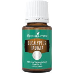 Eucalyptus Radiata or Black Peppermint Essential Oil  15 ml  