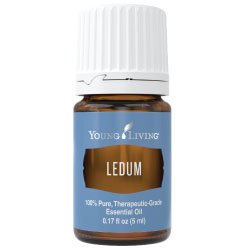 Ledum Essential Oil