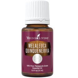 Melaleuca Quinquenervia Essential Oil (Niaouli Oil) 15 ml 