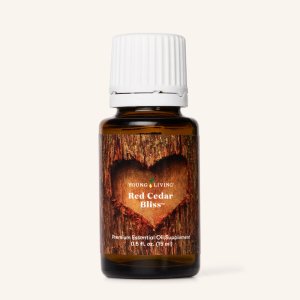 Gratitude Essential Oil 5 ml