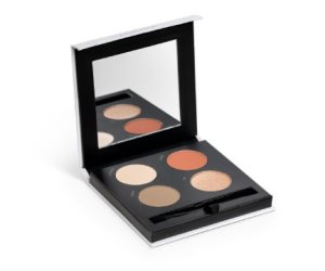 Savvy Eyeshadow Palette Sahara Sunset Natural Mineral Makeup Set by Young Living