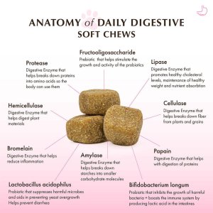 Wholistic Organic Pet Daily Digestive Soft Chews for Cats and Dogs 120 Chews
