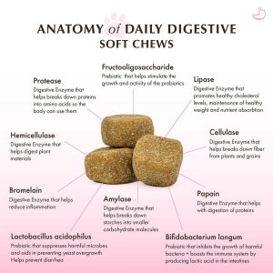 Wholistic Organic Pet Daily Digestive Soft Chews for Cats and Dogs 60 Chews